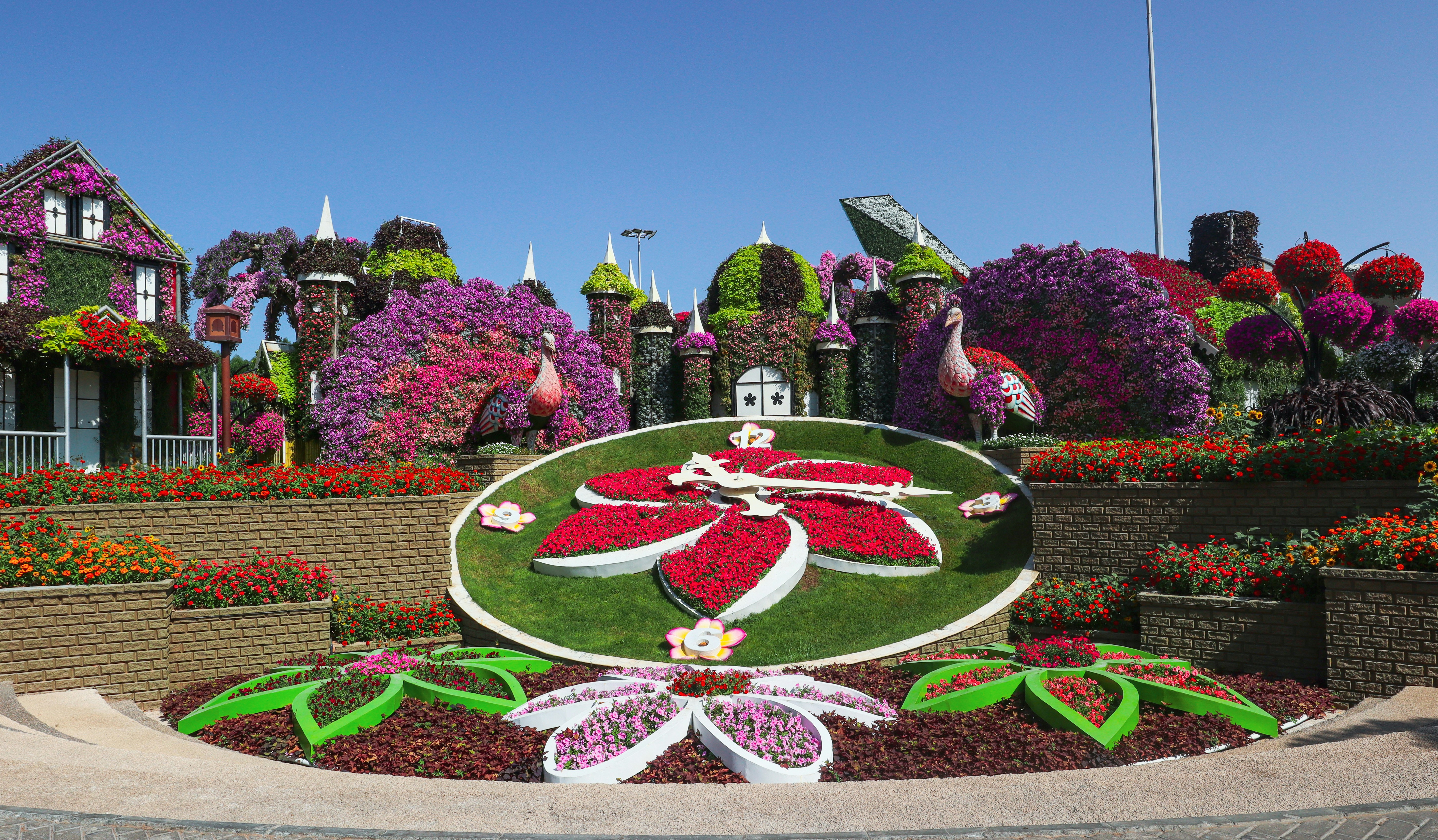 Colourful floral sculptures and pathways at Dubai Miracle Garden, the world's largest natural flower garden